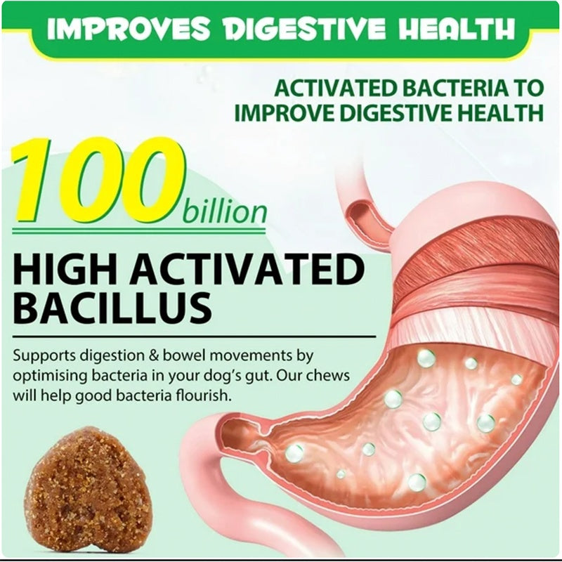 Digestive tract illustration with high activated bacillus and brown chew