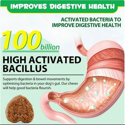 Digestive tract illustration with high activated bacillus and brown chew
