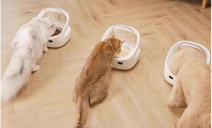 Three white smart pet feeders with transparent guards, pets eating