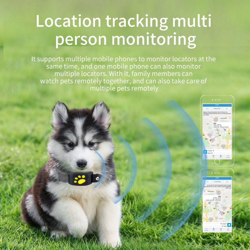 Intelligent pet tracker collar with paw icon on a dark tag
