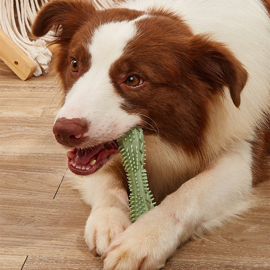 Dog chew toy with green ridged bristles for teeth cleaning