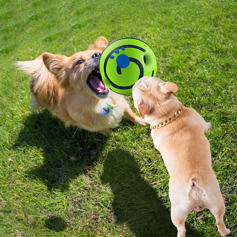 Green squeaky dog ball with blue markings, held by a dog during play