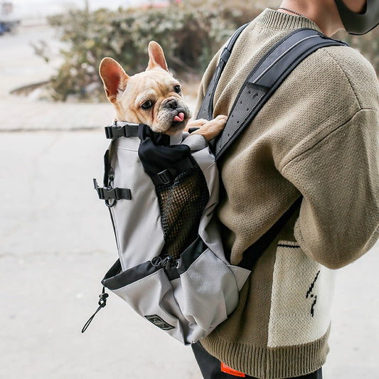 Dog backpack carrier in dark grey with mesh side panels and dual shoulder straps
