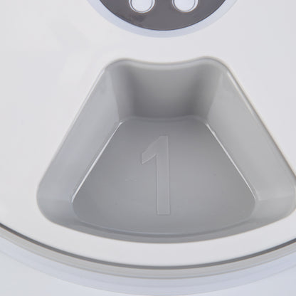 White feeding tray inside timed feeder, numbered raised divider
