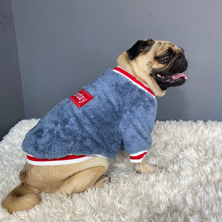 Blue plush pet sweater with “Saturday” patch, red-white collar and cuffs
