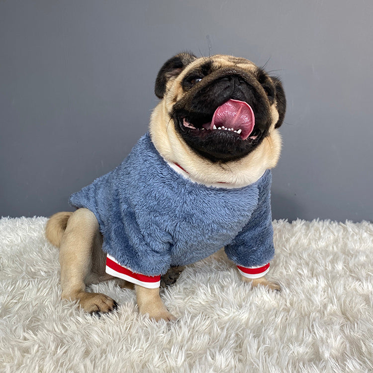 Pet sweater (Blue) with red “Saturday” patch and red-white striped cuffs