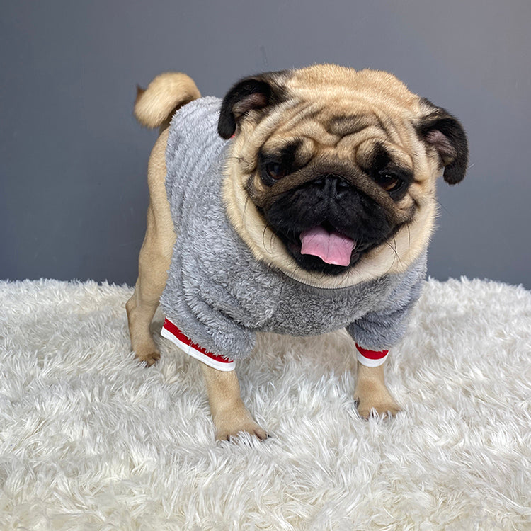 Blue plush pet sweater with “Saturday” patch and red-white striped leg cuffs
