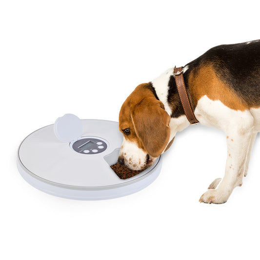 White timed pet feeding machine with pet feeding from grid bowl