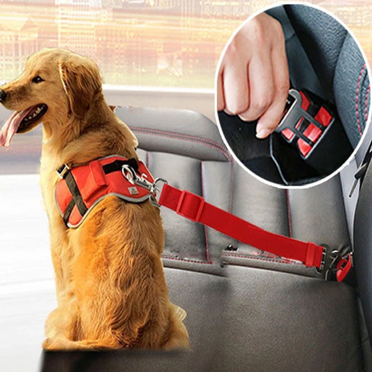 Adjustable pet car safety harness, red strap system with metal buckle and leash clip