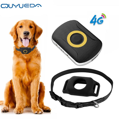Schwarzer GPS-Tracker am Hunde-Halsband mit rundem Anzeige-Element