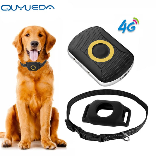 Schwarzer GPS-Tracker am Hunde-Halsband mit rundem Anzeige-Element