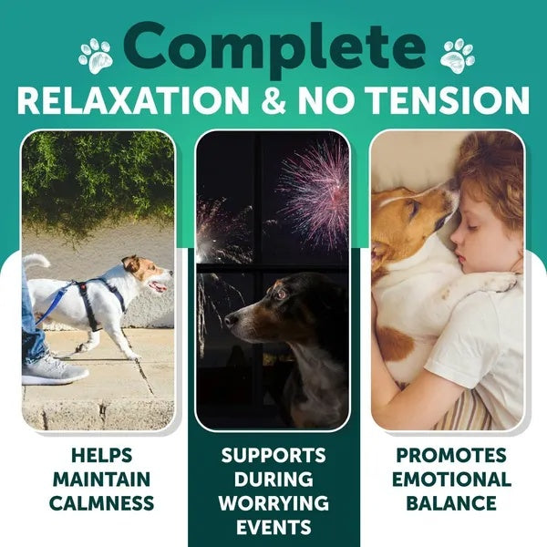 Calming chews package with complete relaxation & no tension claim panels