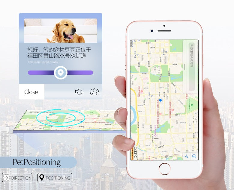 GPS collar app view on phone showing pet positioning map and tracking options