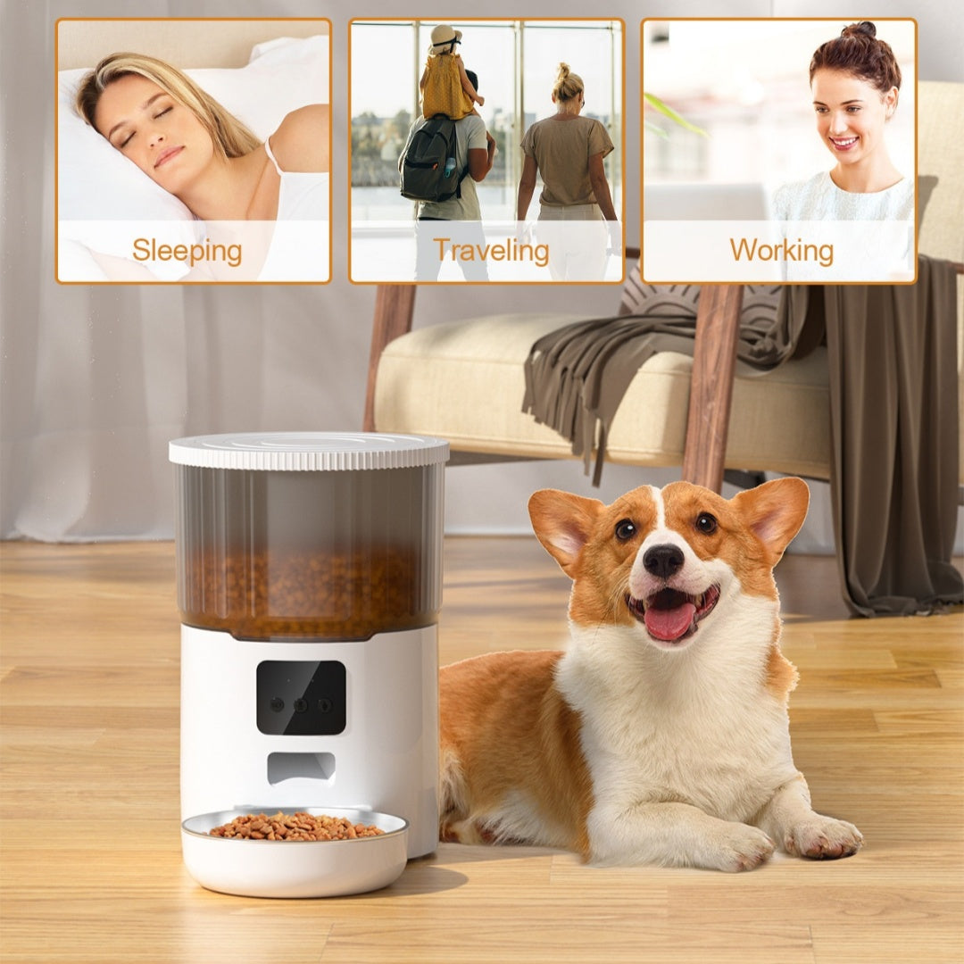 Automatic pet feeder with white base, clear drum, and open bowl beside a dog