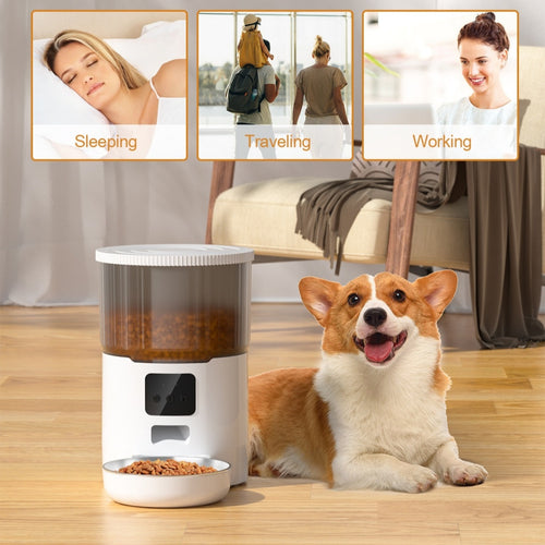 Automatic pet feeder with white base, clear drum, and open bowl beside a dog