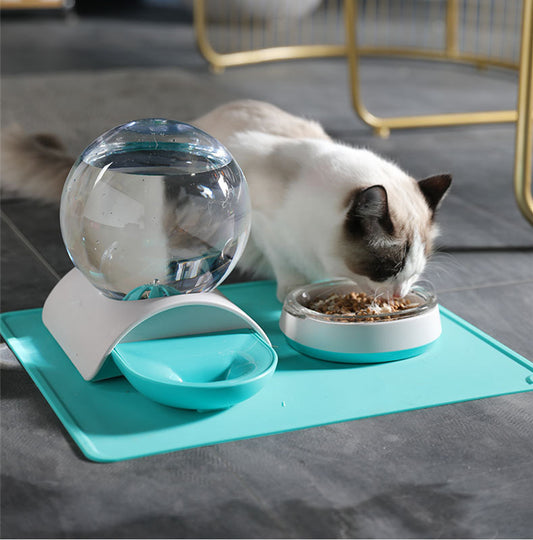 Pet feeding & waterer set with teal tray, water globe, and clear bowl