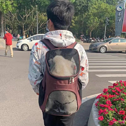 Coffee-brown puppy carrier backpack worn on a person with front mesh window