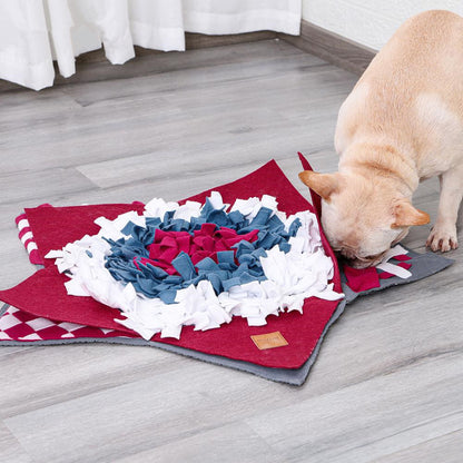 Hund schnuppert an der Roten Slow-Food-Matte mit weißen und blauen Stoffstreifen