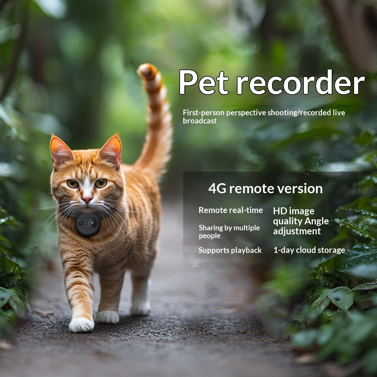 Cat wearing 4G pet recorder collar with camera lens for live viewing