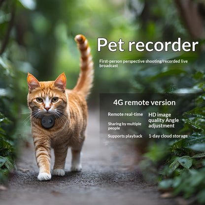 Cat wearing 4G pet recorder collar with camera lens for live viewing