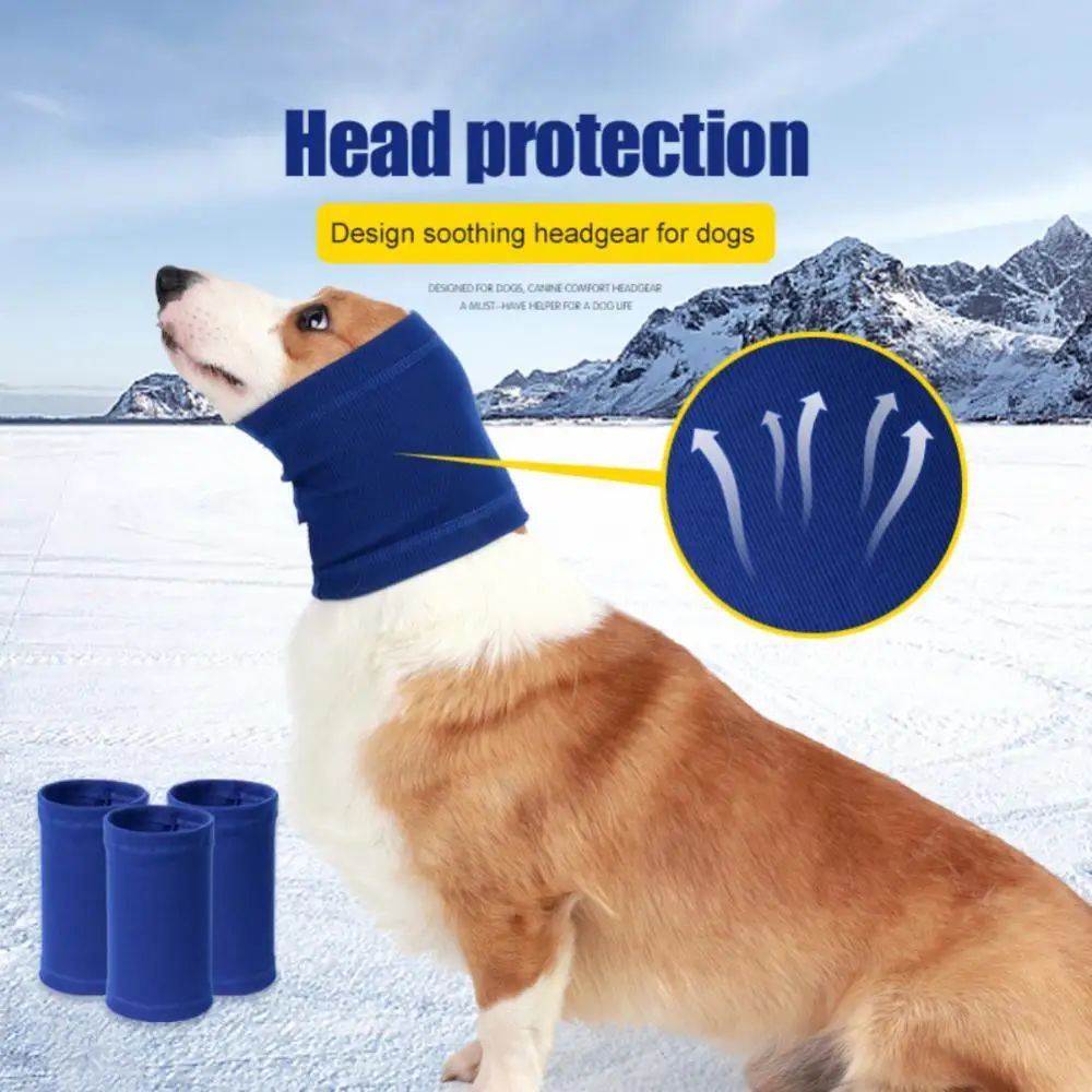 Pet headband earmuff for dogs, blue knit wrap over ears