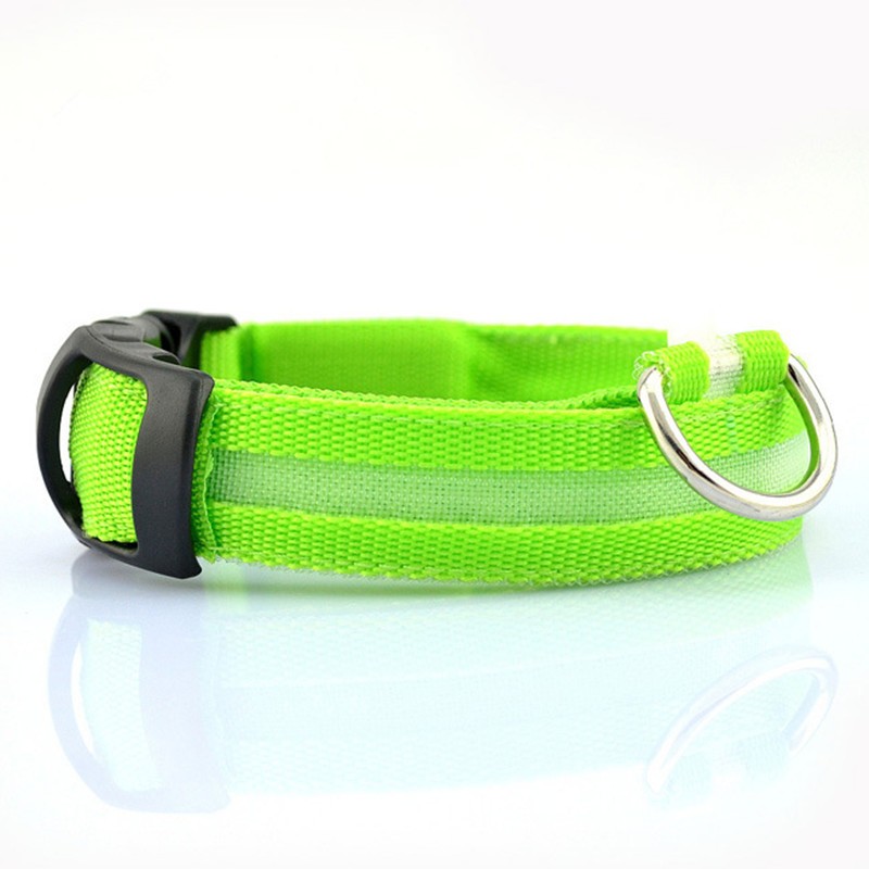Neon green pet safety collar with reflective white stripe and silver D-ring