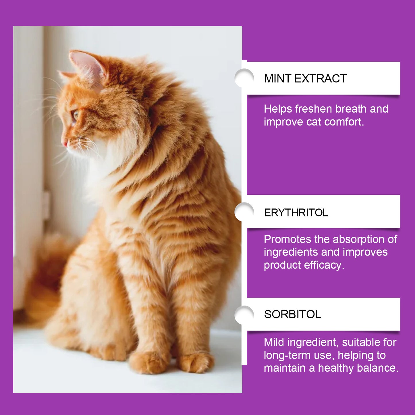 Pet Cat multivitamin supplement with mint extract, erythritol and sorbitol ingredient notes