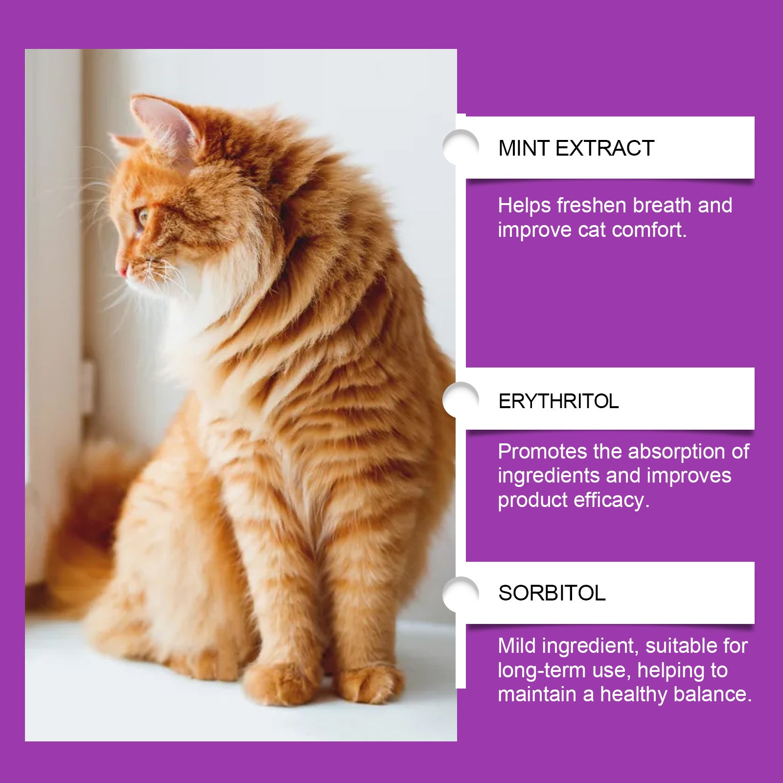 Pet Cat multivitamin supplement with mint extract, erythritol and sorbitol ingredient notes