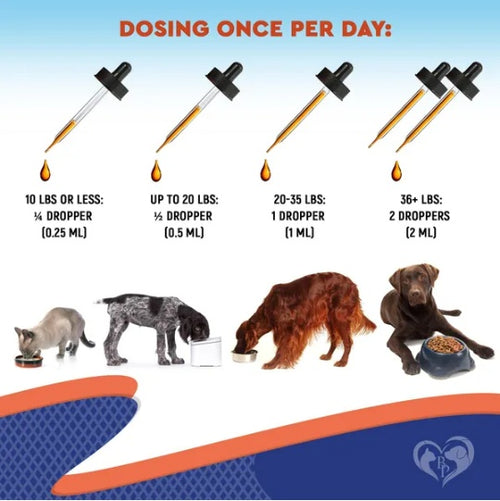 Probiotics & Prebiotics supplement—once-daily dropper dosage by pet weight
