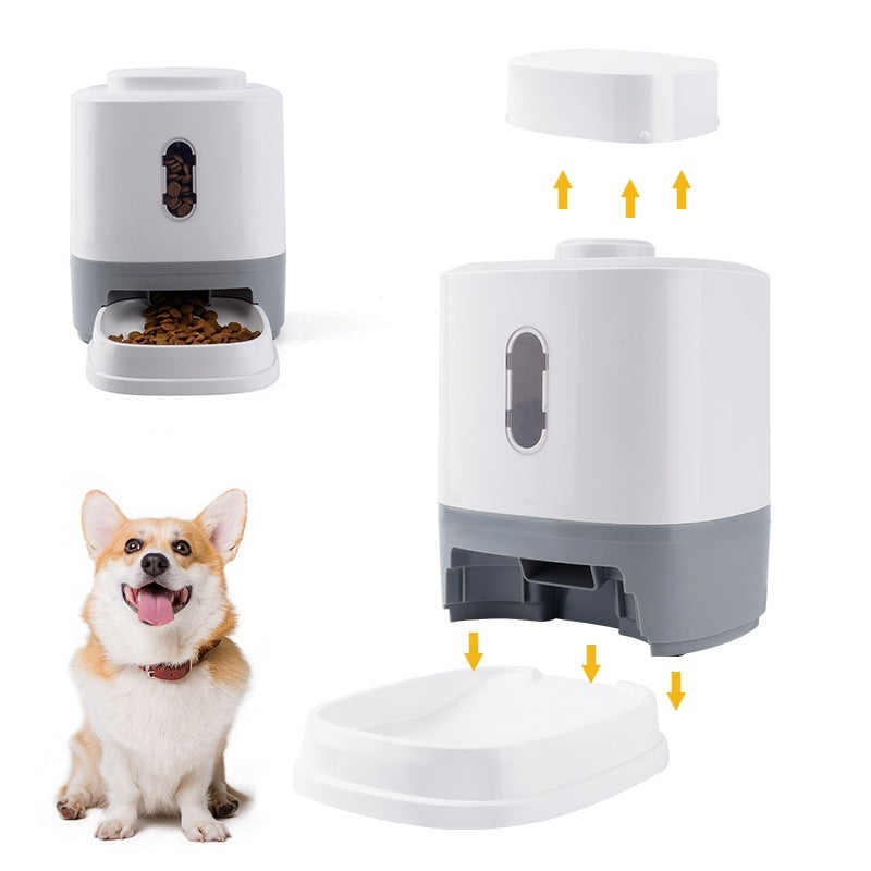 Automatic pet feeder with open lid and dispensing tray; dog next to it