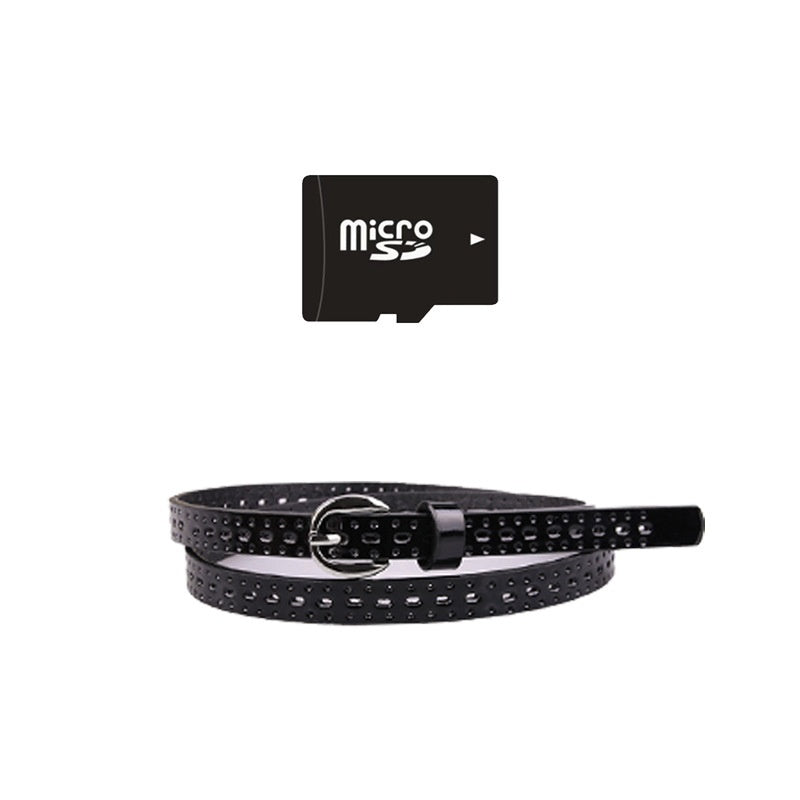 microSD card shown for the pet recorder collar system