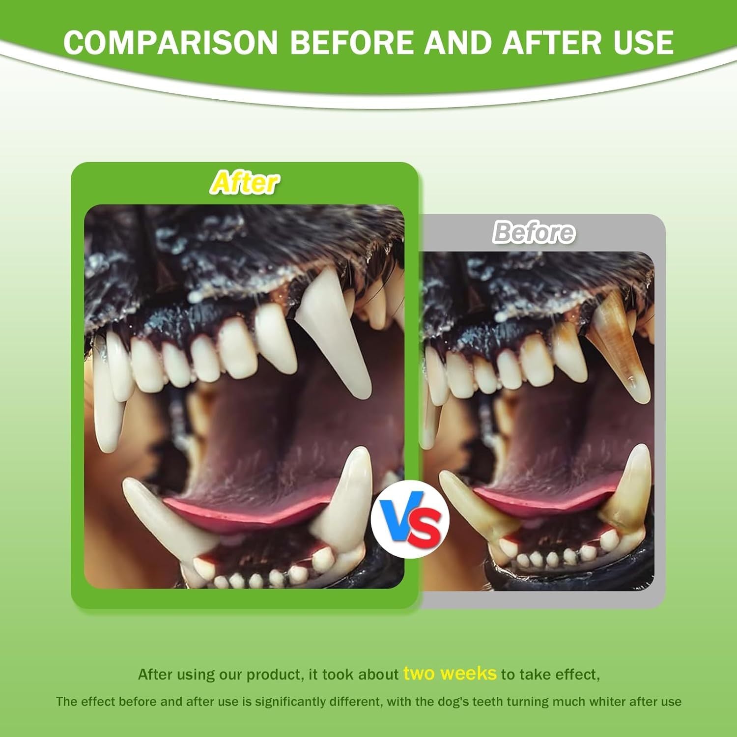 Pet Teeth cleaning powder before/after teeth comparison graphic with two tooth views