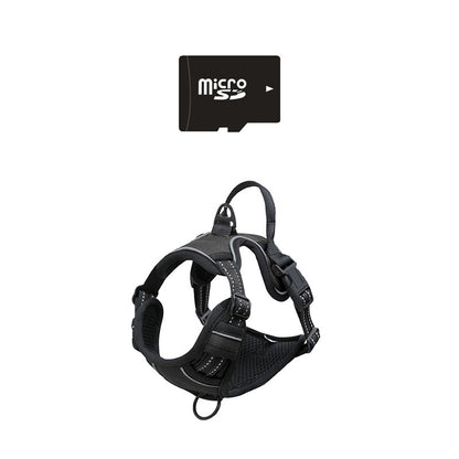 Pet recorder harness with microSD card for camera recording