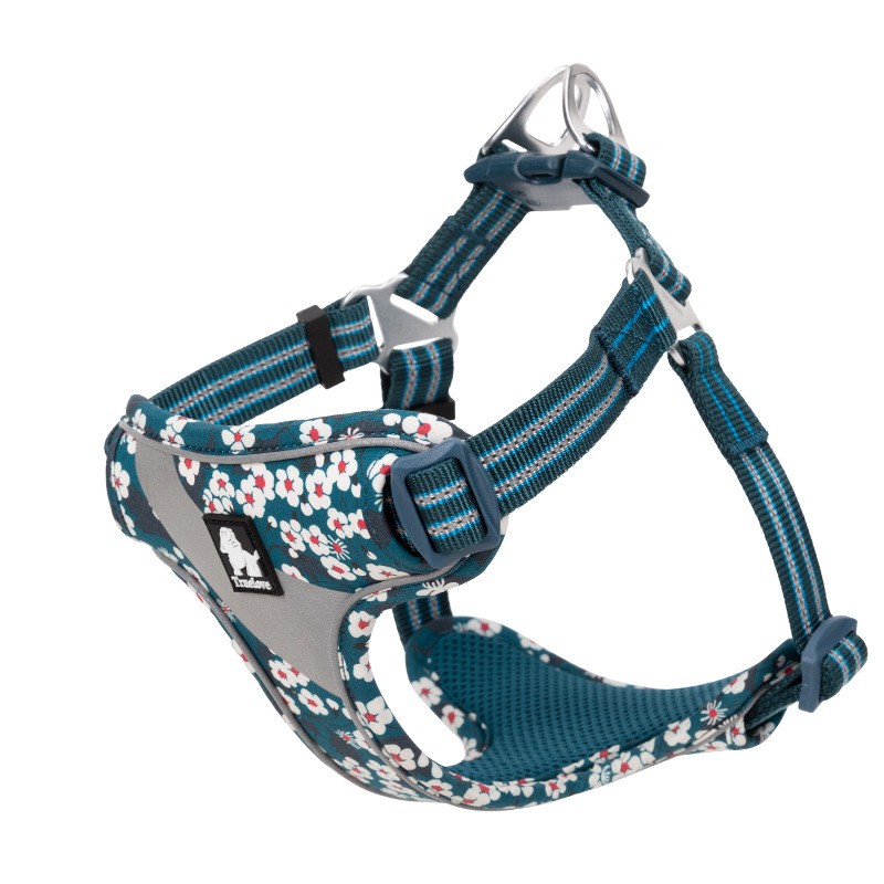 Dark blue floral dog harness with teal striped straps, padded chest, front D-ring