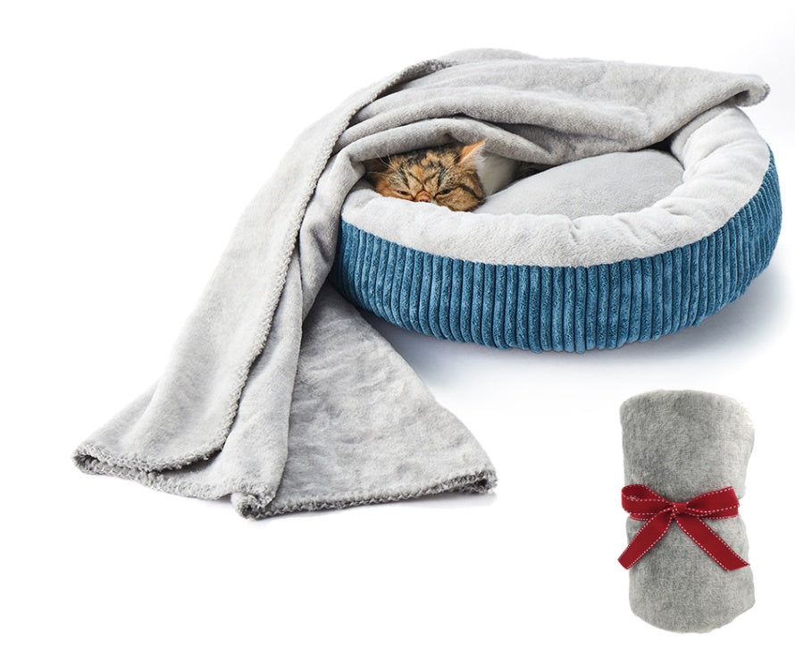 Grey flannel donut bed with blue ribbed edge and cat resting inside