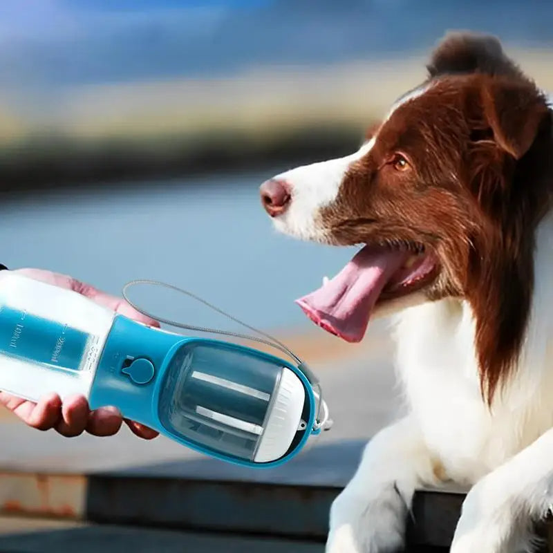 Blauer 3-in-1 Hunde-Wasser- & Futterbecher mit Deckel und Auslass am Boden