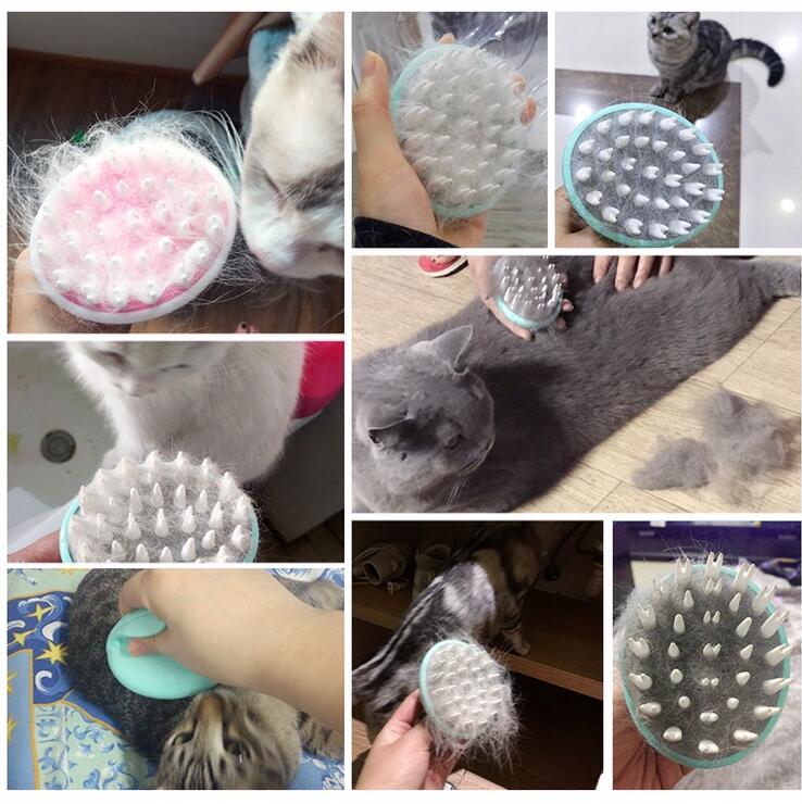 Turquoise pet grooming brush with white nodules and bristle tips for bath