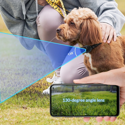 4G Pet-View camera collar strap on dog with 130° view angle