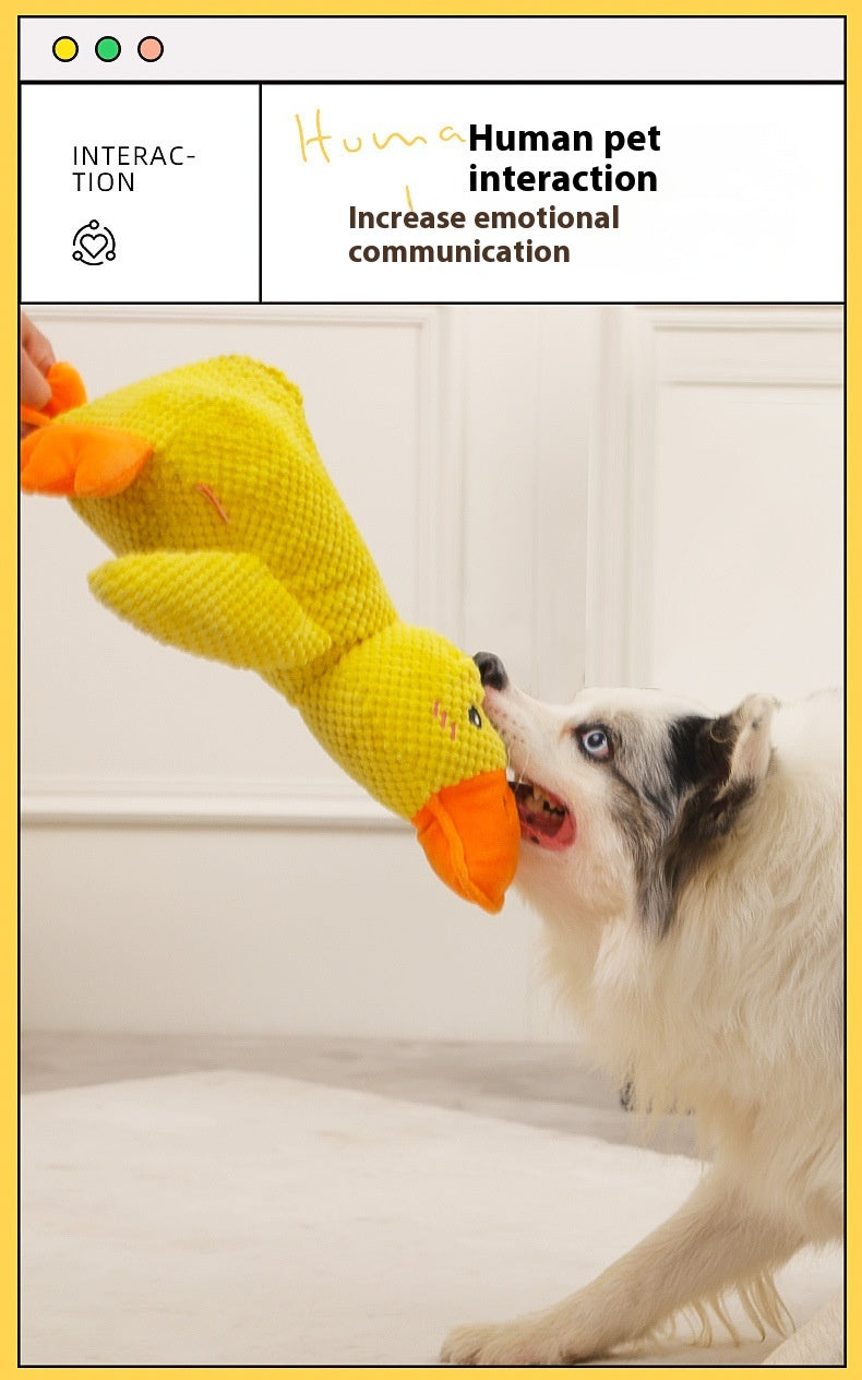 Gelbe Quietschente mit orangen Schnabel, Hund spielt mit dem Stofftier