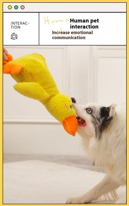 Gelbe Quietschente mit orangen Schnabel, Hund spielt mit dem Stofftier