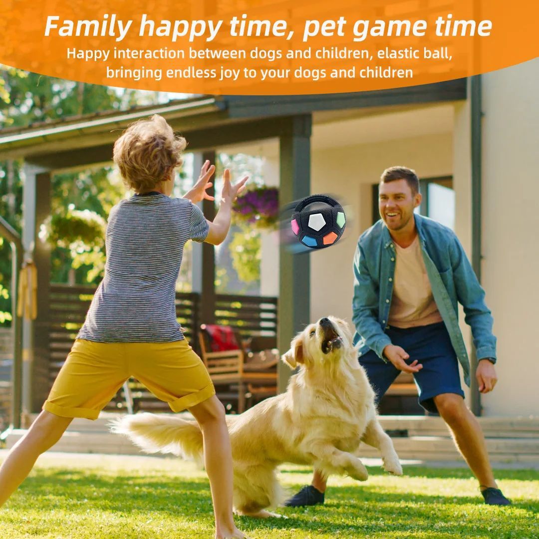 Football-shaped pet dog toy in black with colorful hex insets