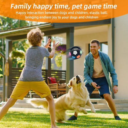 Football-shaped pet dog toy in black with colorful hex insets