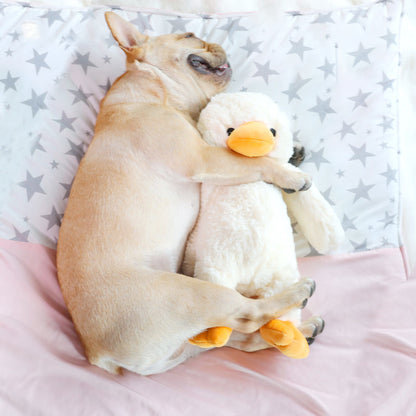 White plush duck toy with orange beak and wings, gripped in a dog's paws