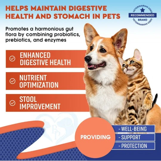 Probiotic & prebiotic enzymes for pets—supports digestive health and stomach