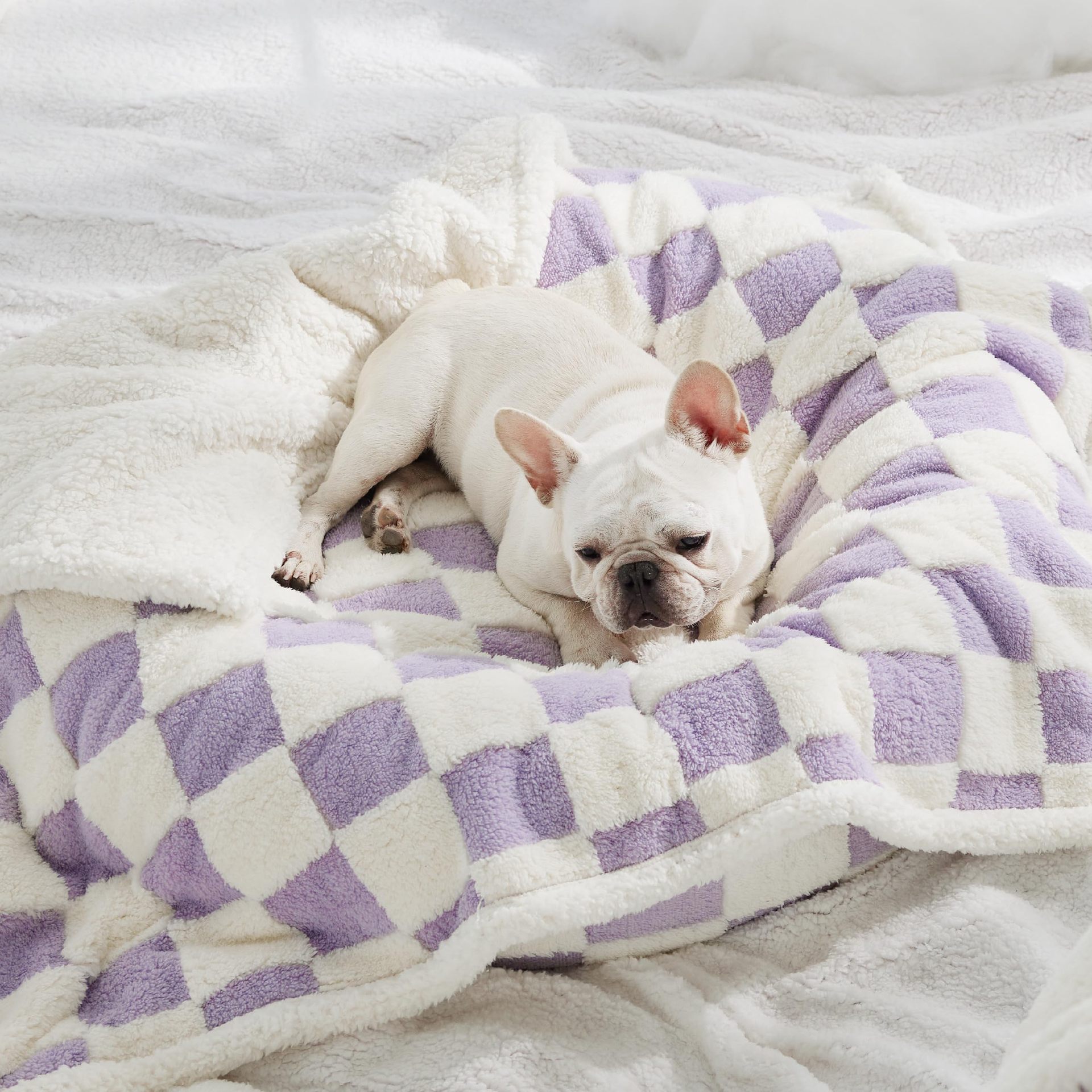 Pet waterproof blanket with purple and white check pattern on fluffy white bedding