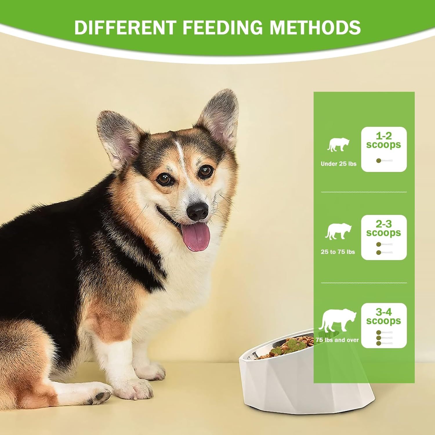 Pet Teeth cleaning powder: dog next to feeding methods chart with 1–3 scoops