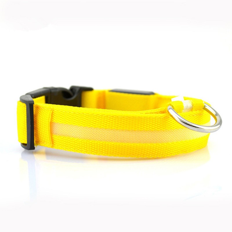 Yellow pet safety collar with black clasp and silver D-ring