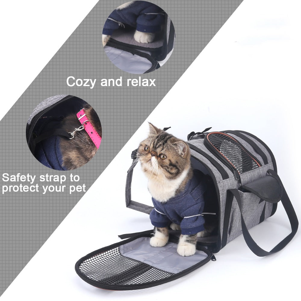 Folding pet car seat carrier with mesh panel and padded base, cat inside