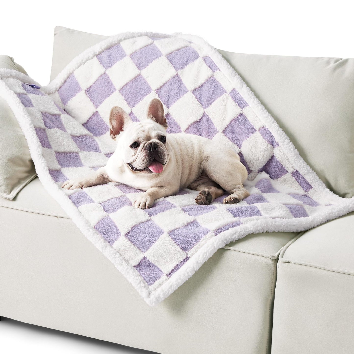 Pet waterproof blanket with purple and white checker pattern, plush with white trim