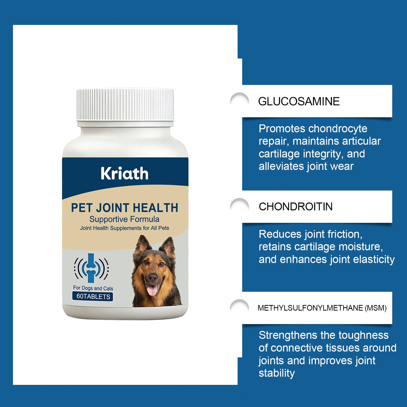 Pet Joint Health Flasche mit Zutaten: Glucosamine, Chondroitin, MSM